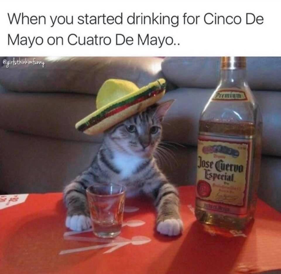 Happy Cinco De Mayo!!!
