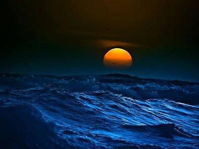 Good night Moon