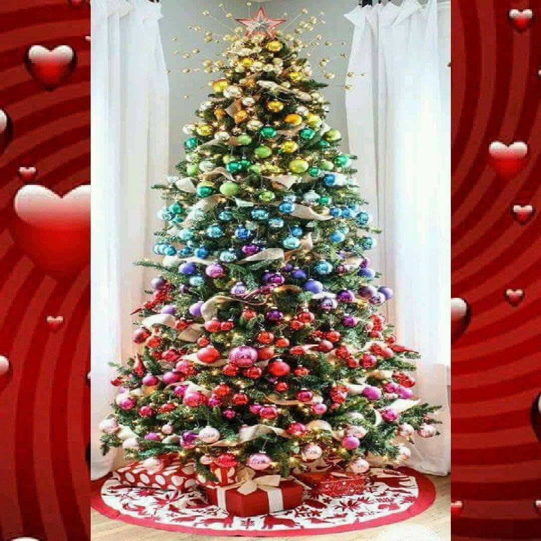 Libby Opell's album, Timeline Photos
