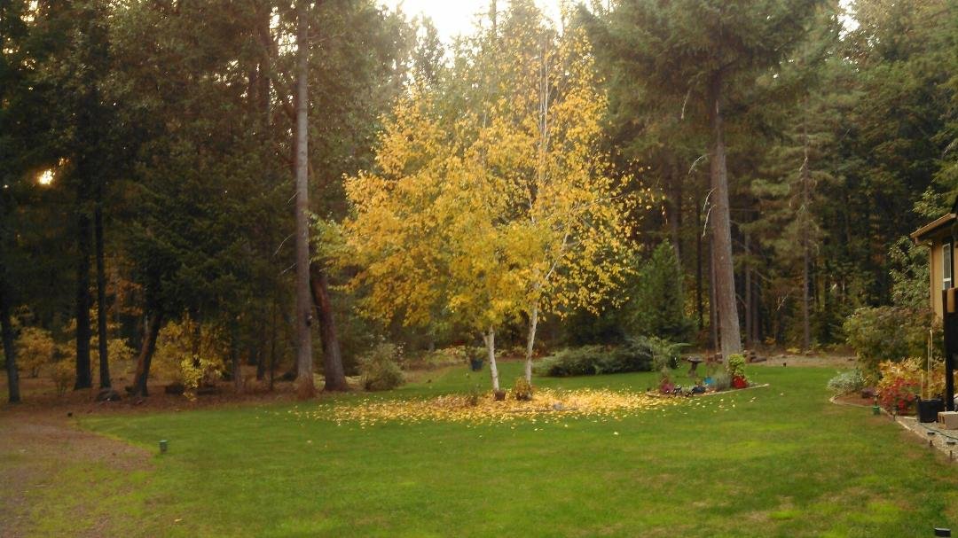 Fall is here