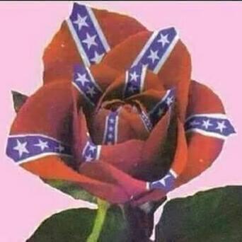 Robert McCarty's album, Timeline photos