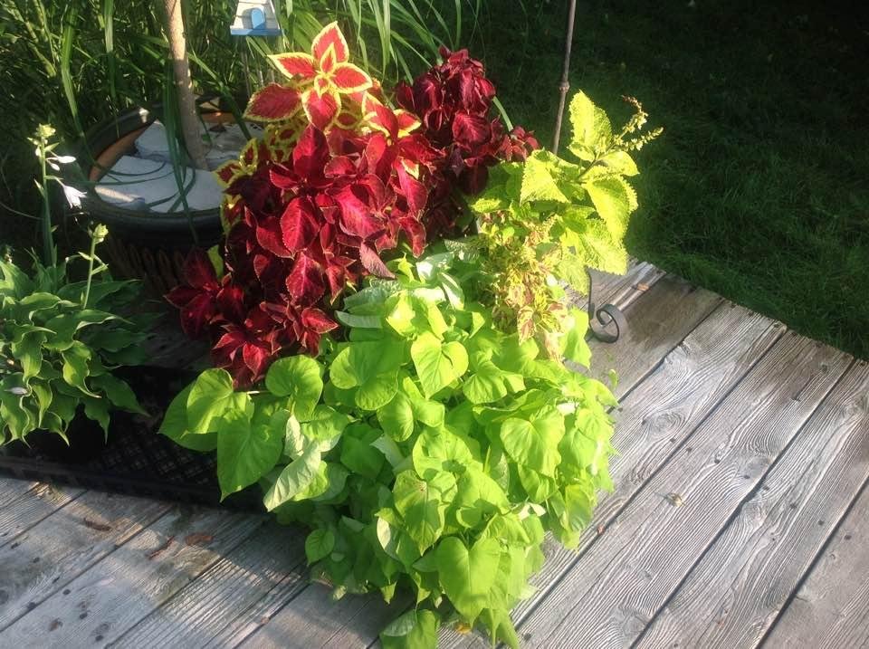 James Oitzinger's album, Timeline Photos