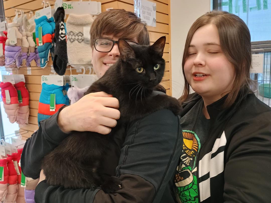 Mewtwo, now Pico, is loving his new family. Adopted from LAPP at Chuck & Don's.