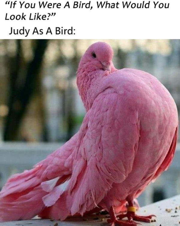 Judith Downing's album, Timeline Photos