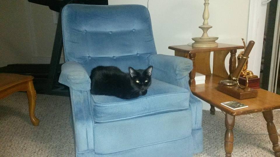 This is Maggie, she has cancer of the jaw, but so far, she is happy and doing well!