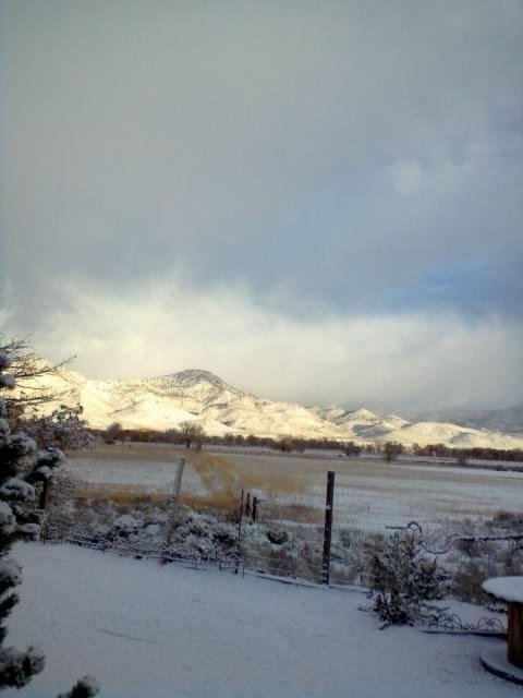 William Arthur Cook's album, Our First snow 11/21/2010 Not much More Later ?