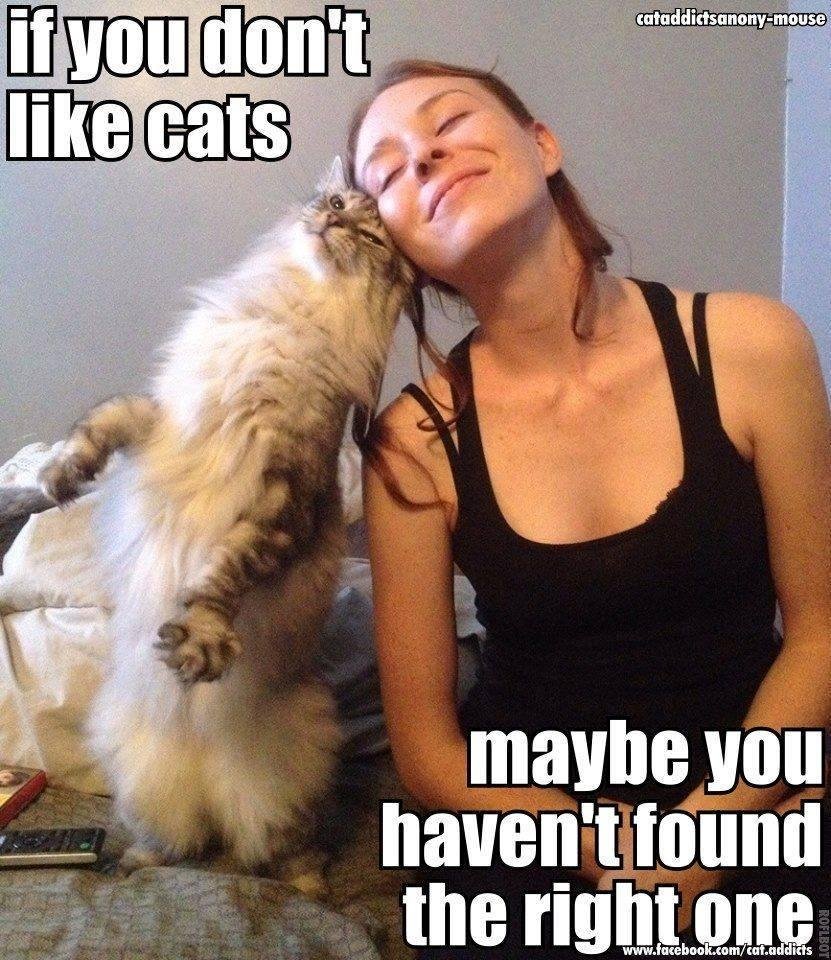 Just had to forward this one.