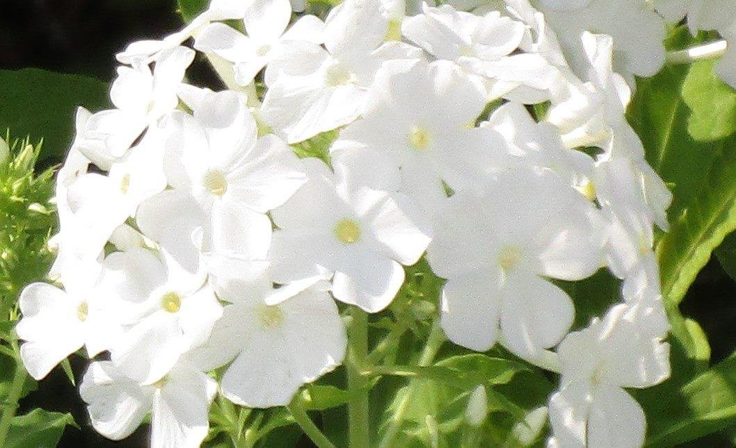 Cheryl Graves' album, Timeline Photos