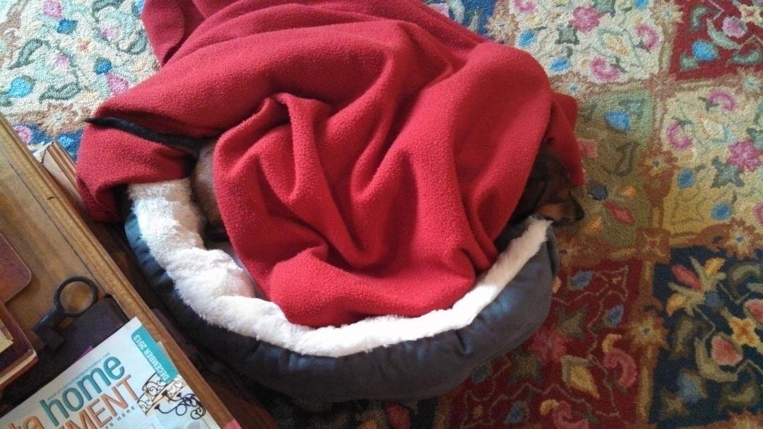 He did this himself - quite comfy!