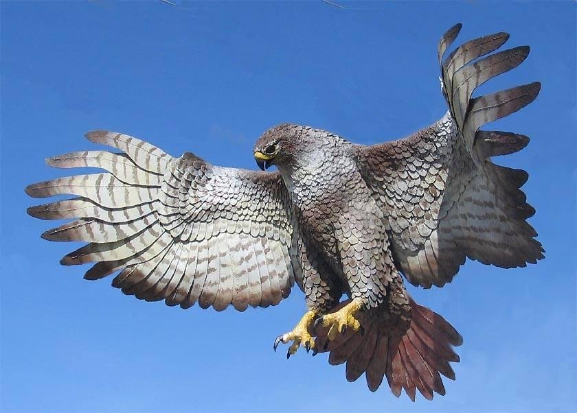 The HAWK is out!!