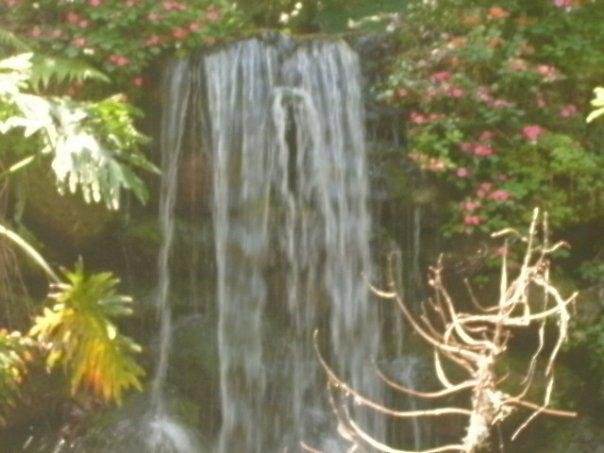 Keith Dohn's album, fl pics