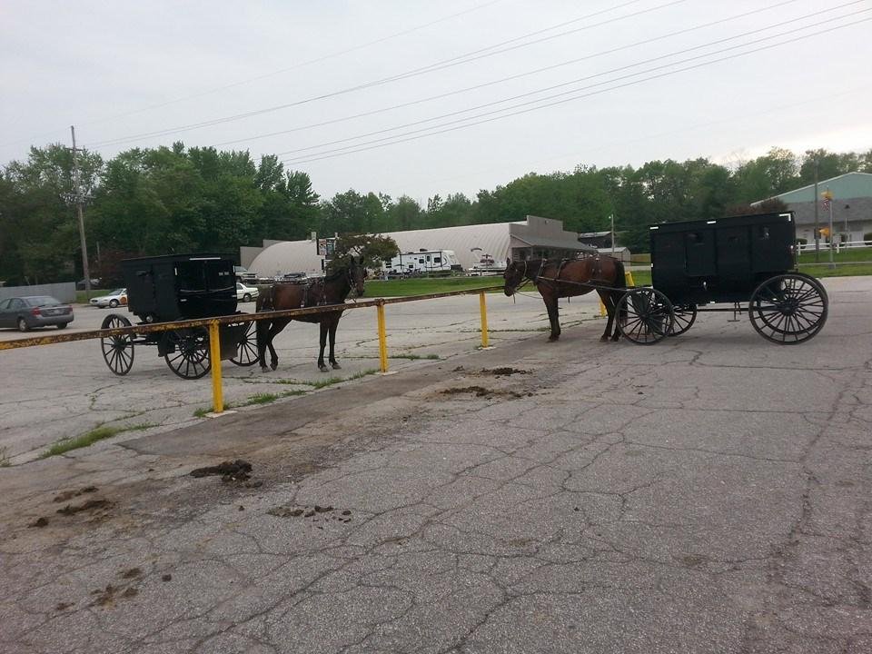 I like the new models.I heard they get great gas mileage. If they only had convertible models!