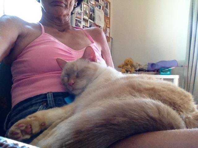 She thinks she has to be in my lap all the time today, it has been like this all day