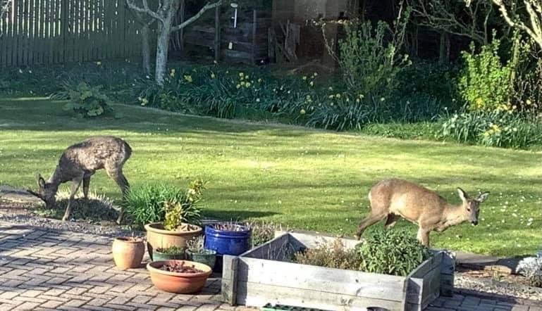We have regular visitors just now.