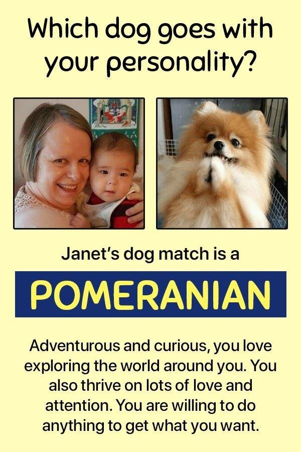 I am i cute or what............I mean the dog, lol!