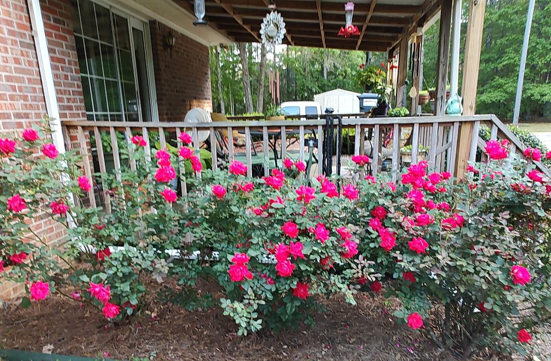 Susan Woodson's album, Timeline photos