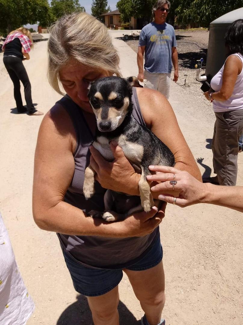 For those of you following Find Sophie They found her today