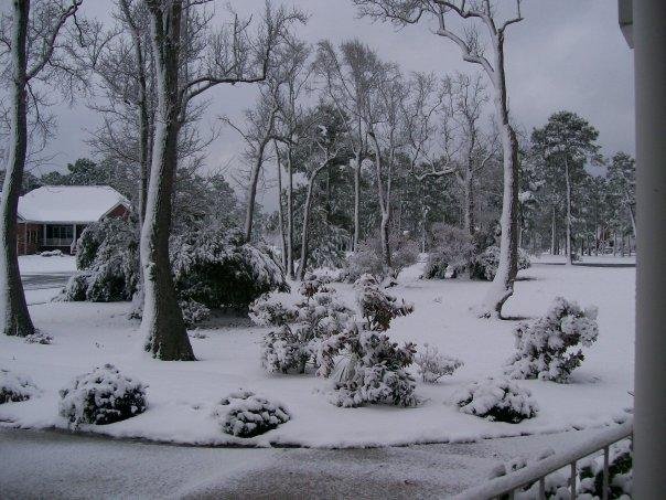 Karen Karen Deegan's album, FEBRUARY 13TH IN NORTH CAROLINA