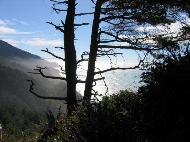 Lew Bornmann's album, California's Lost Coast - 2009_10_25