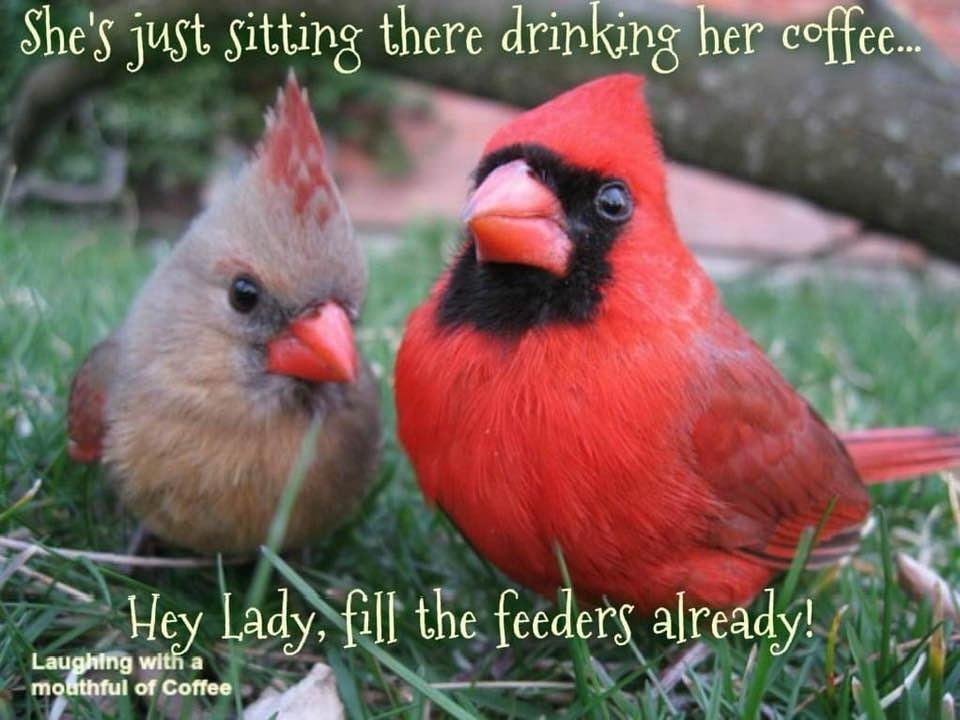 Thomas Rogers' album, Timeline Photos