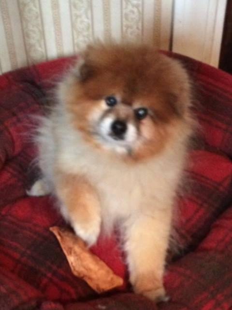 Joyce Hindle's album, Timeline Photos