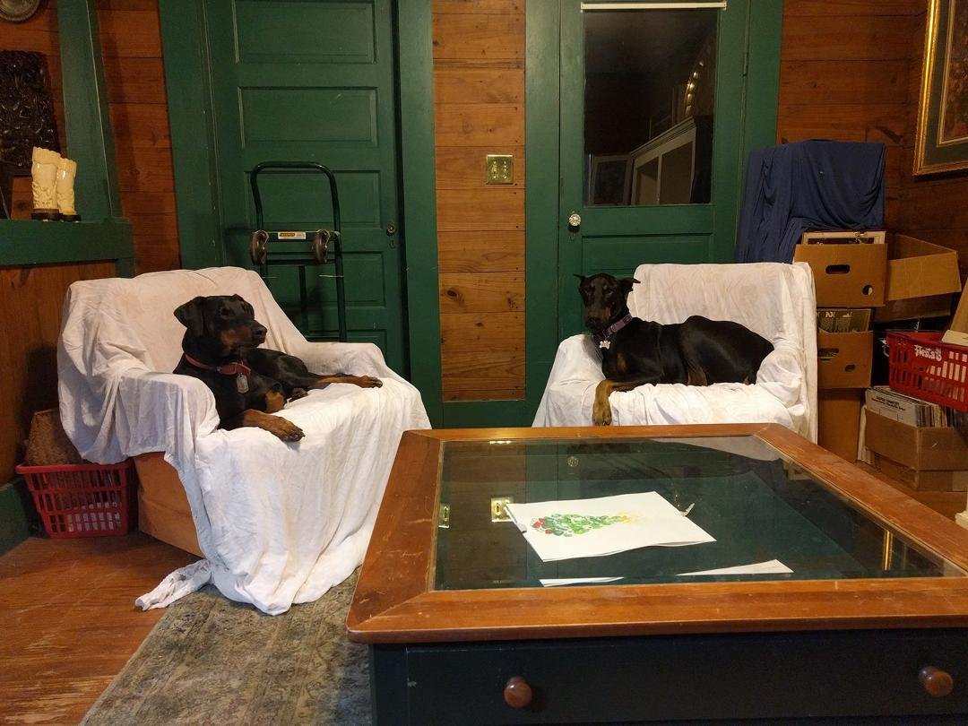 Just us boys reading Styrone. The girls just want breakfast on time.