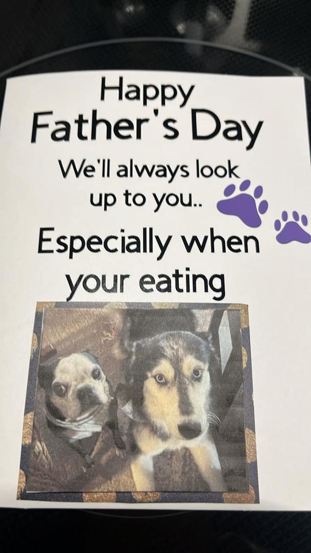 I have always said Maria made the best cards! This was to me from our fur babies!