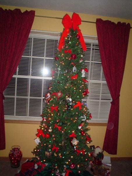 David Lynn's album, TREE 2008