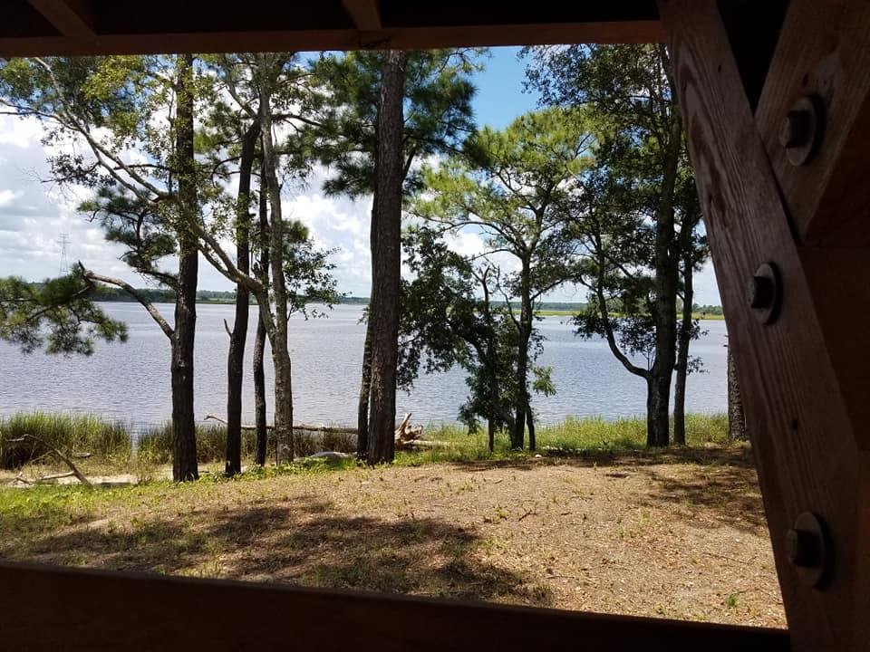 Debra Gimbal's album, Timeline Photos