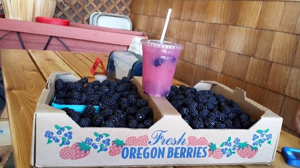 At Fir Point Farm in Aurora. Sylvia and I just made fresh limonade with Obsidian Blackberries and having lunch