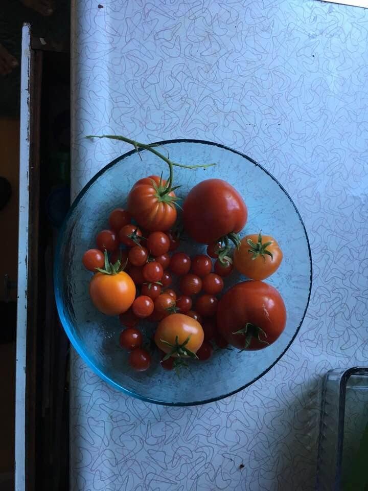 From our garden this morning!