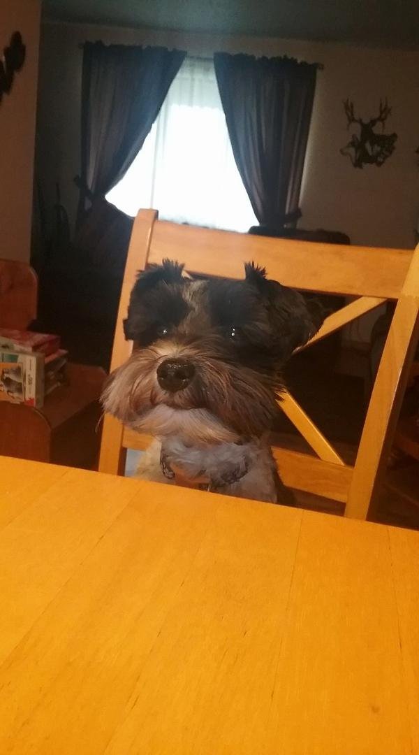 Not on the table