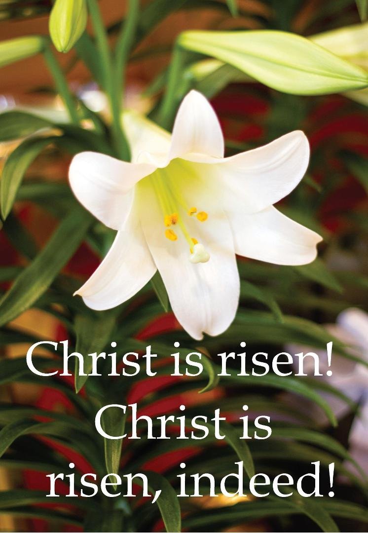 Happy Easter to all of my FACEBOOK friends!
The apostle Paul wasn't present for the resurrection event -- but, he experienced the resurrected Christ, and, it changed his life, just as that same experience changes the lives