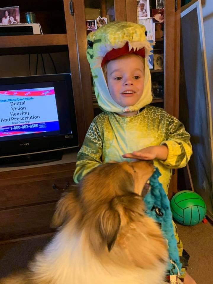 Dino day! Mollie is showing him her dino!