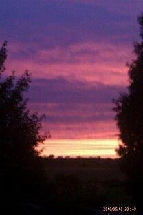 Rod Warren's album, Mobile Uploads