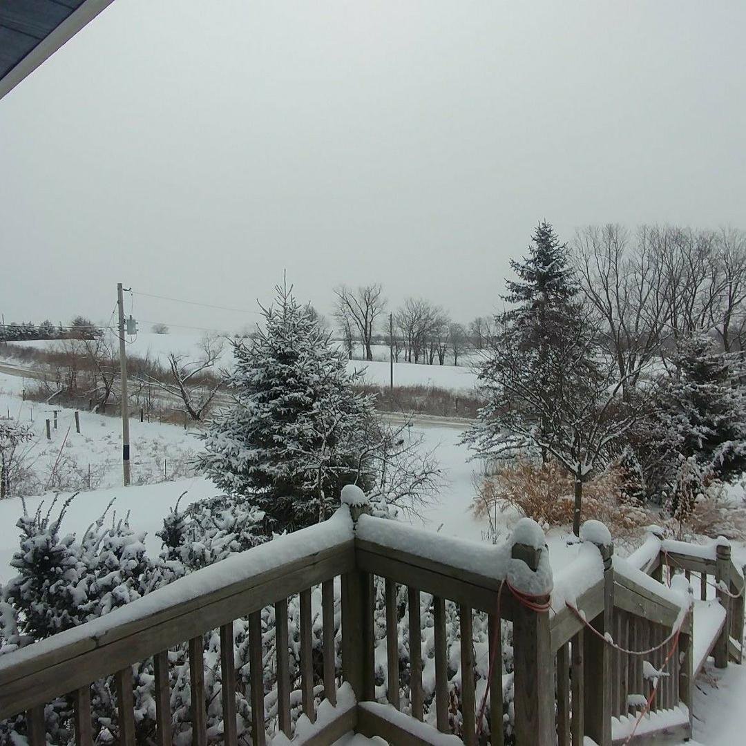 Woke up this morning to a beautiful scene. I love the first snowy day.