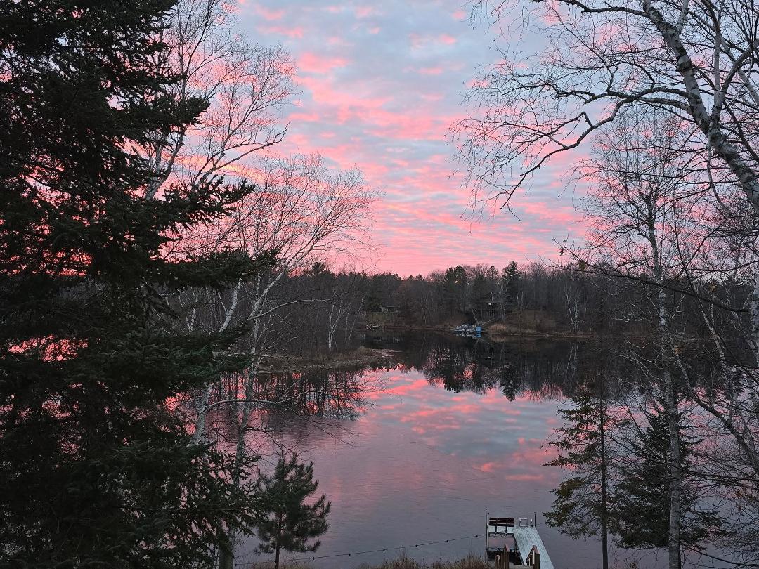 Gary Antonich's album, Mobile uploads