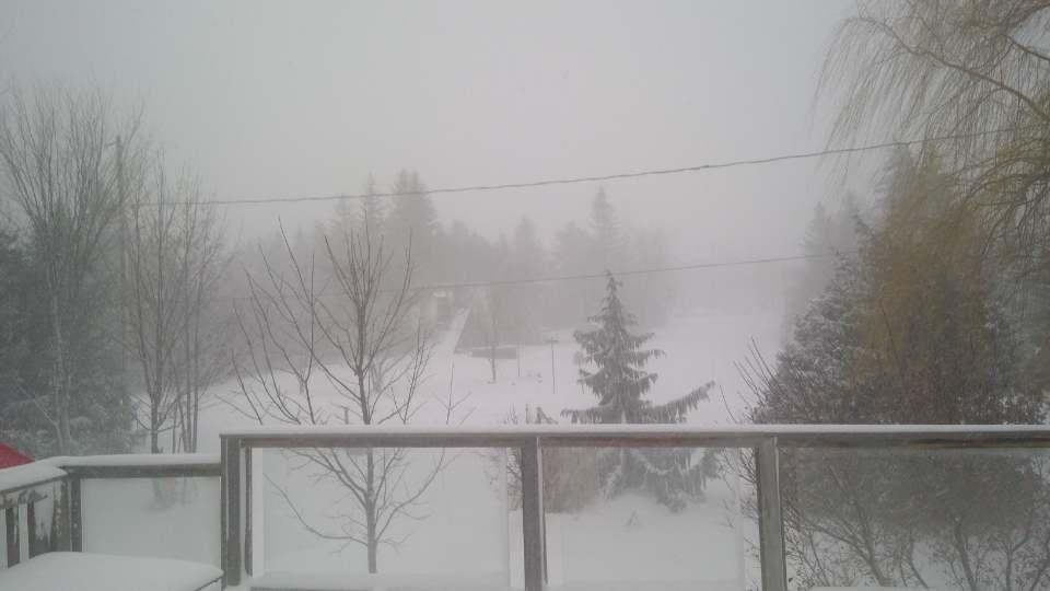 A wall of snow ..... it will be good skiing .... tomorrow