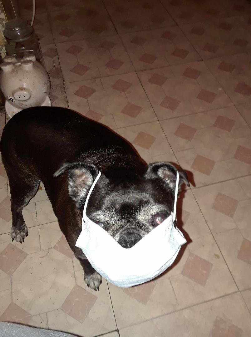 Gertie is getting ready for her Uncle Wayne.  Hopefully Tuesday or Wednesday of next week.