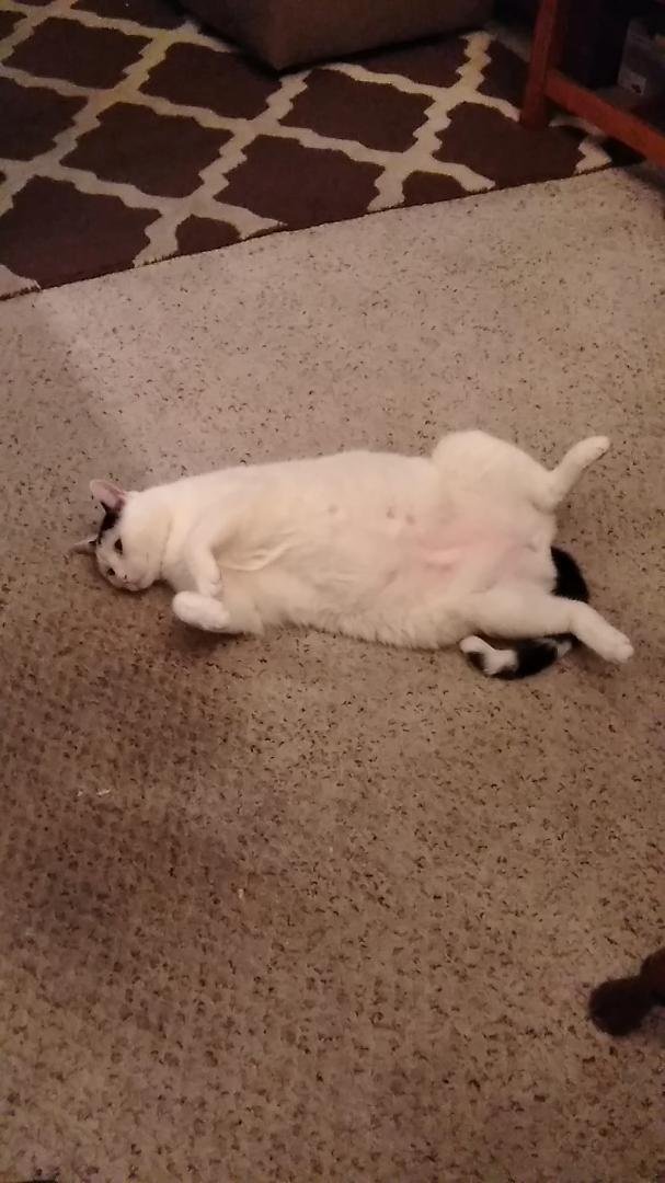 Loves this spot