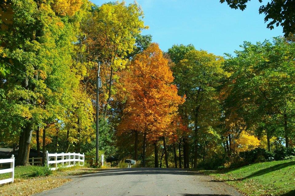 Edwin Pelot's album, Fall 2011