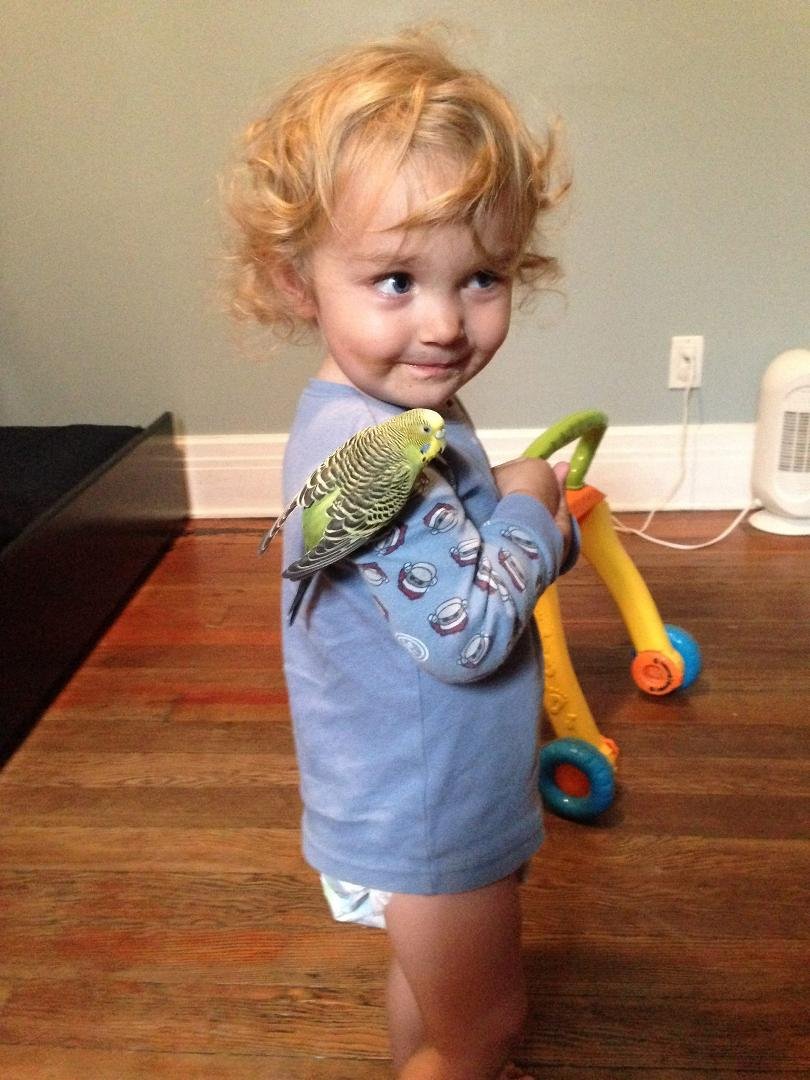 California grandson.   Love this picture