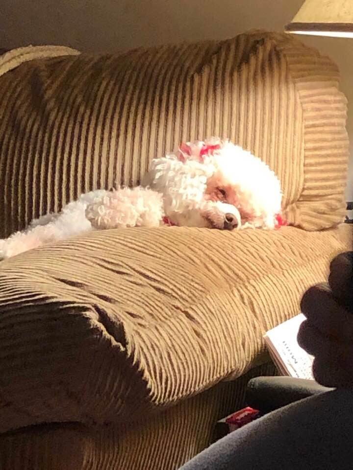 My Tessa is so tired. Poor baby