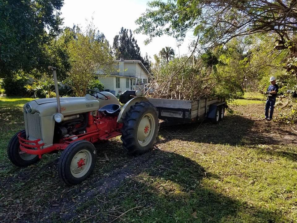 Robert from TCBA with his tractor and trailer. We cut and hauled 3 loads and still have probably that amount to cut tomorrow. Huge pepper  tree.