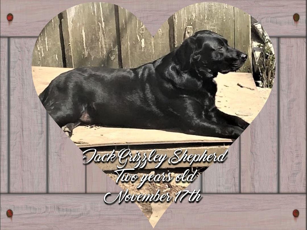 Beverly Shepherd's album, Timeline Photos