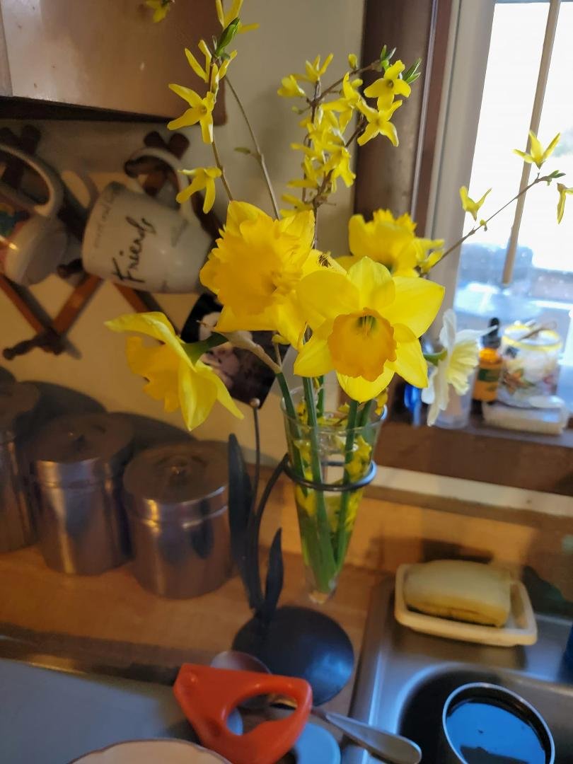 Thank you Mady fir my beautiful flowers love you