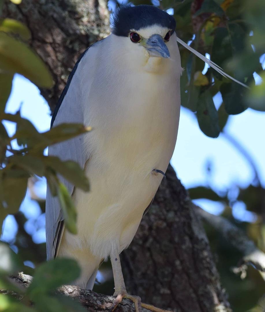 Happy #nationalbirdday Is my hair sticking up?