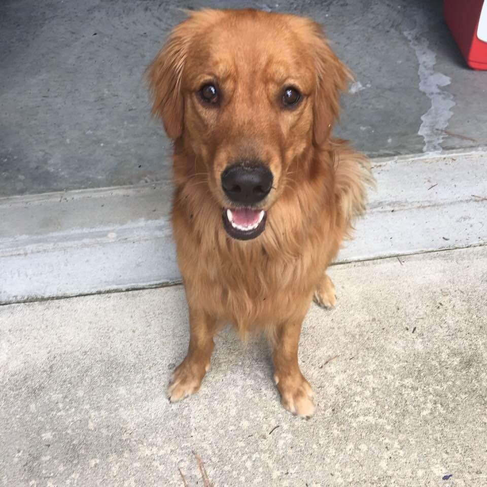 Miss Ellie