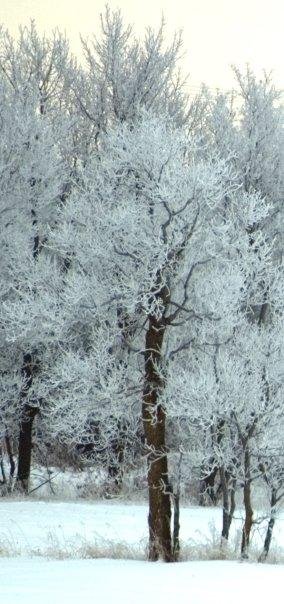 Ron Wirch's album, Some of my most meaningful pictures