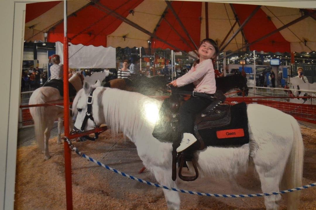 Houston rodeo